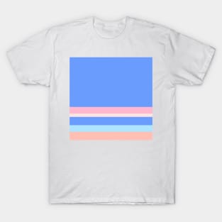 A subtle recipe of Powder Blue, Cornflower Blue, Little Girl Pink, Very Light Pink and Melon stripes. T-Shirt